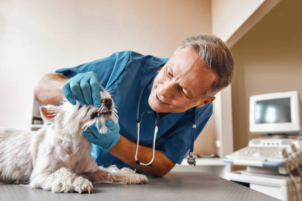 Best Emergency Dental Care for Abscessed Tooth in Valdosta, GA